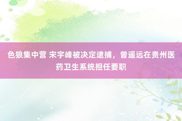 色狼集中营 宋宇峰被决定逮捕，曾遥远在贵州医药卫生系统担任要职
