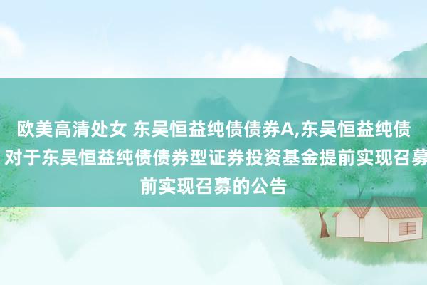 欧美高清处女 东吴恒益纯债债券A,东吴恒益纯债债券C: 对于东吴恒益纯债债券型证券投资基金提前实现召募的公告