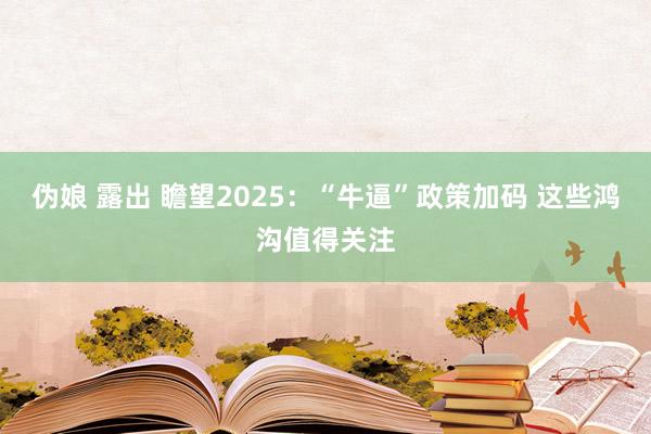 伪娘 露出 瞻望2025：“牛逼”政策加码 这些鸿沟值得关注
