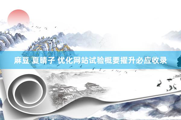 麻豆 夏晴子 优化网站试验概要擢升必应收录
