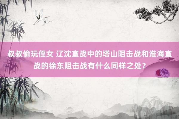 叔叔偷玩侄女 辽沈宣战中的塔山阻击战和淮海宣战的徐东阻击战有什么同样之处？