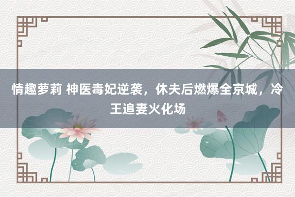 情趣萝莉 神医毒妃逆袭，休夫后燃爆全京城，冷王追妻火化场