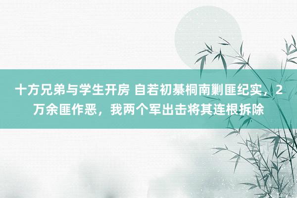 十方兄弟与学生开房 自若初綦桐南剿匪纪实，2万余匪作恶，我两个军出击将其连根拆除