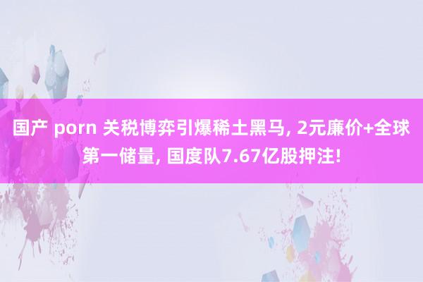 国产 porn 关税博弈引爆稀土黑马， 2元廉价+全球第一储量， 国度队7.67亿股押注!